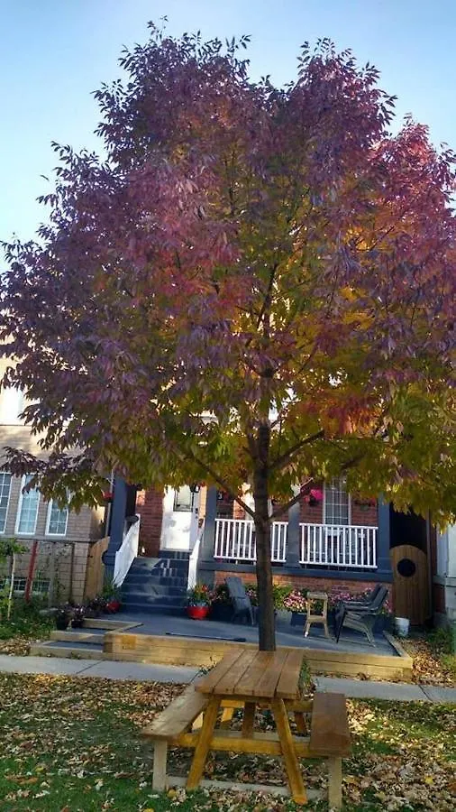 Privat bolig Village at York U Toronto Canada