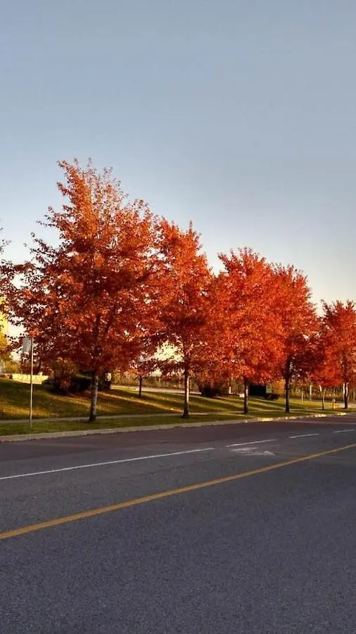 Village At York U Toronto