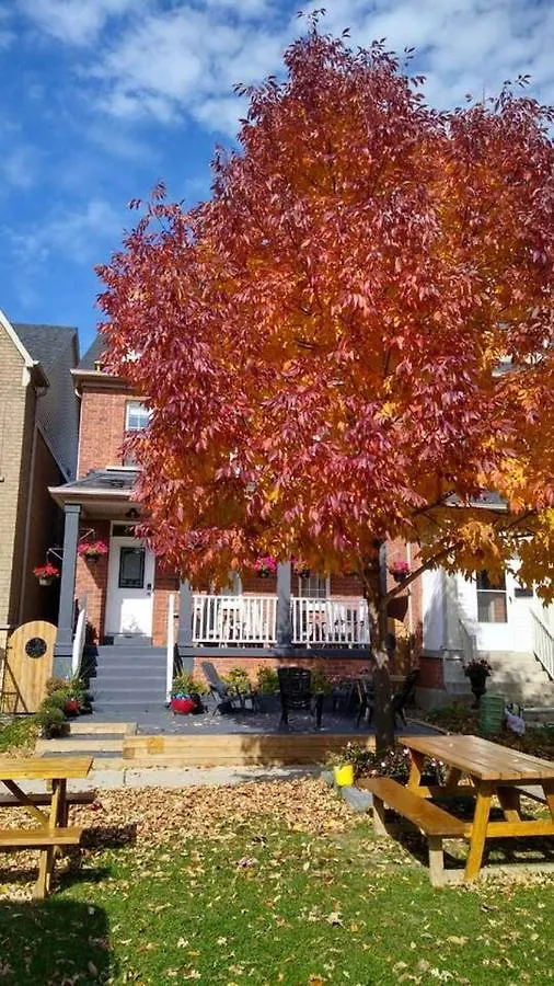 Village At York U Toronto 0*,